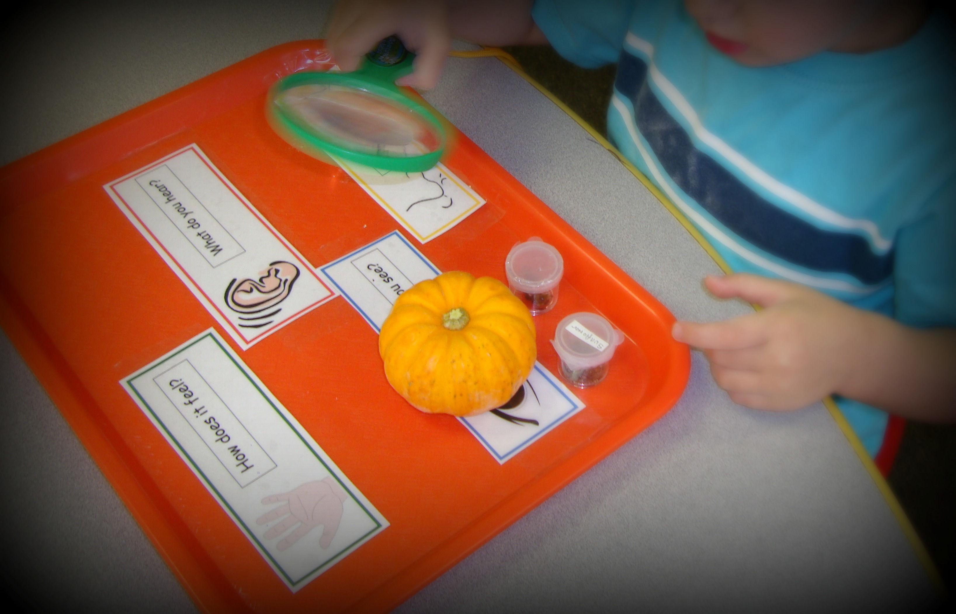 More Pumpkin Activities In Preschool